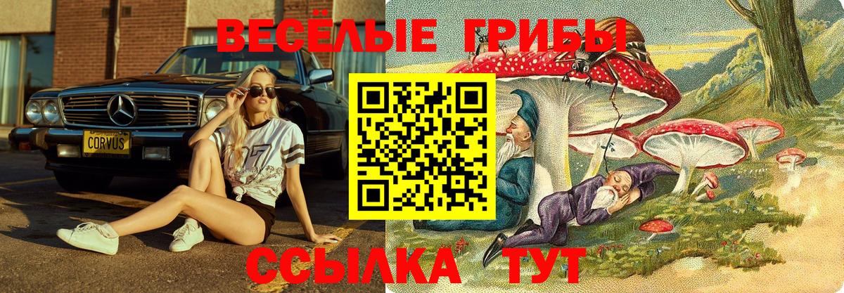 Алексин  Псилоцибиновые грибы Psilocybine cubensis  Вход с VPN 